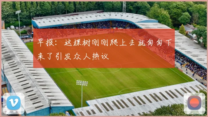 早报：这棵树刚刚爬上去就匆匆下来了引发众人热议